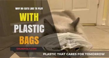 Why Cats Love Playing with Plastic Bags: Unraveling the Mystery