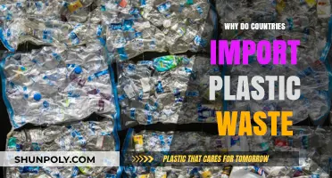 The Plastic Waste Trade: Why Countries Import It