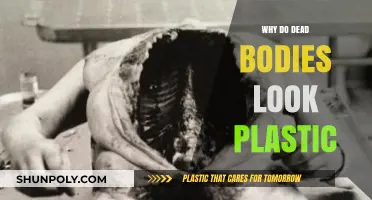 The Plastic Appearance of Death