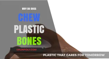 Plastic Bones: Why Do Dogs Chew Them?