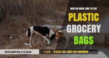Why Dogs Eat Plastic Bags: Uncovering the Risky Canine Curiosity