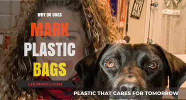 Why Dogs Mark Plastic Bags: Unraveling Canine Scent-Marking Behavior