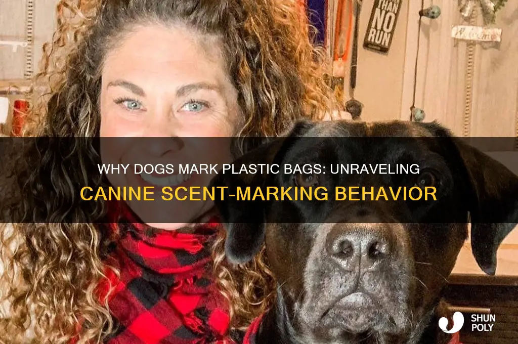 why do dogs mark plastic bags