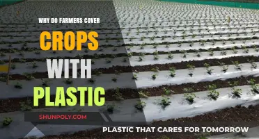Farmers' Plastic Cover: Benefits and Drawbacks