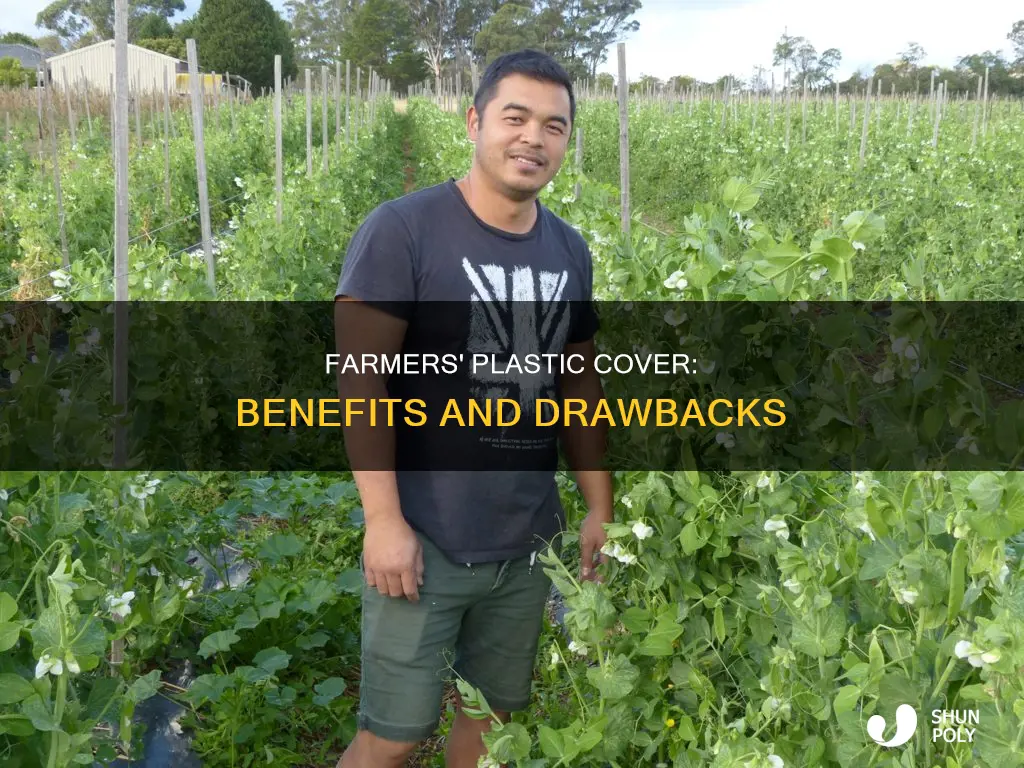 why do farmers cover crops with plastic