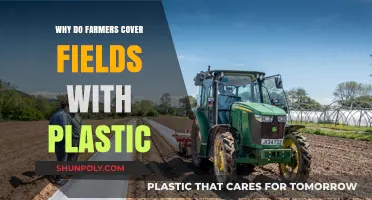 Farmers' Plastic Covering: Benefits and Environmental Concerns