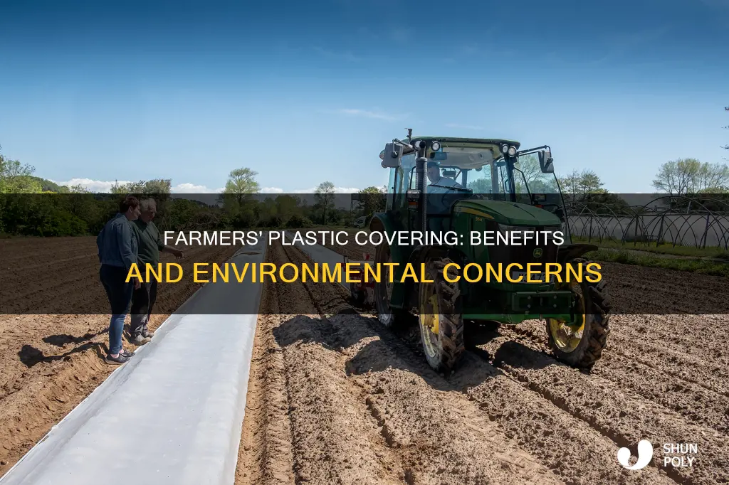 why do farmers cover fields with plastic