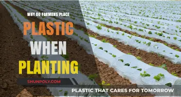 Farmers' Plastic Sheets: Planting's Best-Kept Secret