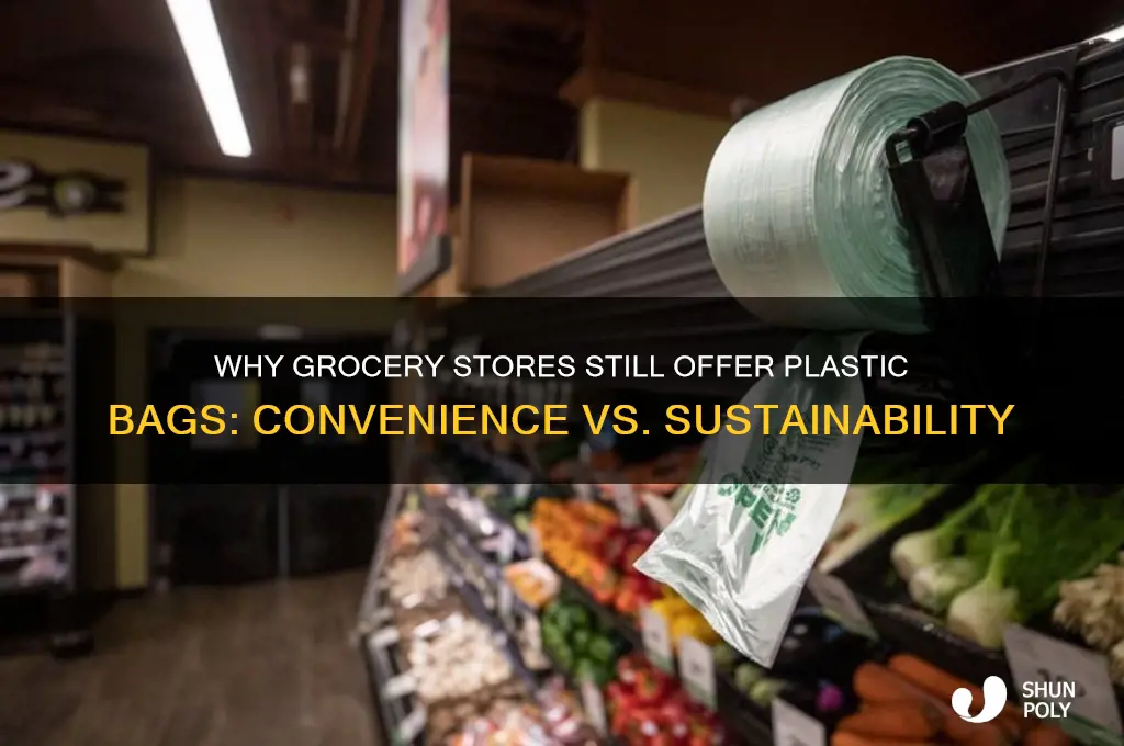 why do grocery stores give plastic bags