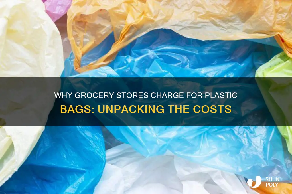 why do grocerys stores charge for plastice bags