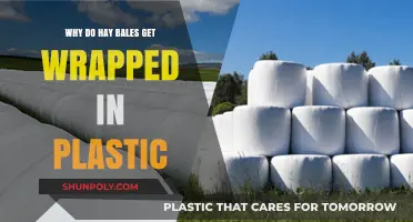 Why Farmers Wrap Hay Bales in Plastic: Benefits and Process