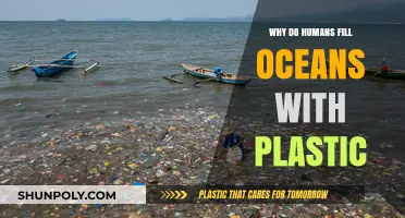 The Ocean's Plastic Plague: Human Impact Explored