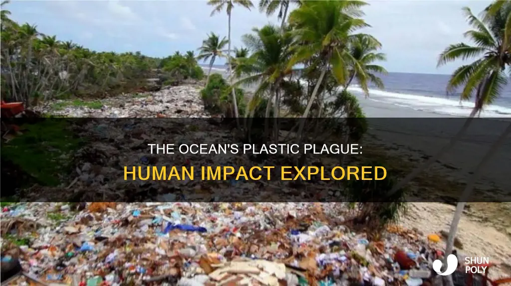 why do humans fill oceans with plastic
