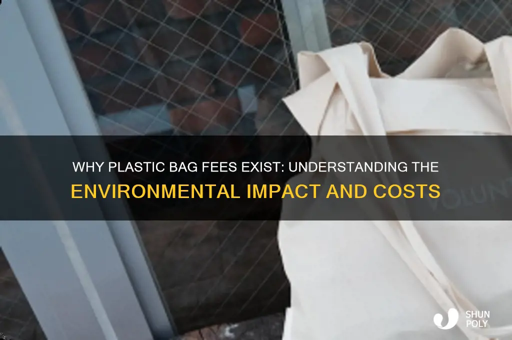 why do i get charged for plastic bags