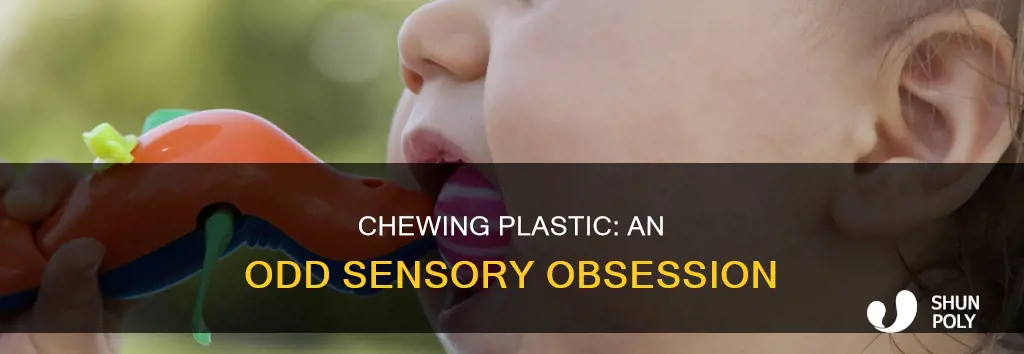 why do i like chewing on plastic