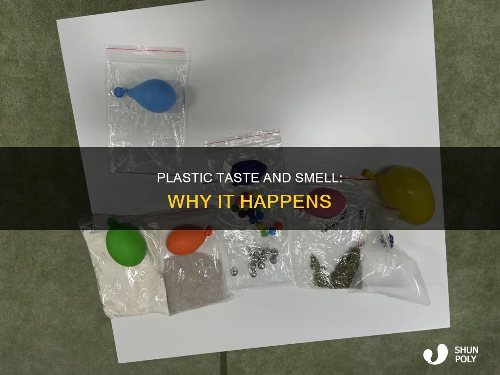 why do i smell and taste plastic