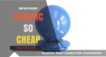 The Glossy Truth: Why Plastic is Cheap
