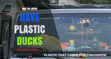 Jeep Ducks: Plastic Quackers and Their History