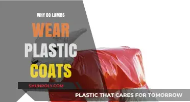Lambs' Plastic Coats: Why Do They Need Them?