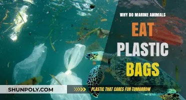 Why Marine Animals Mistake Plastic Bags for Food: A Deadly Confusion