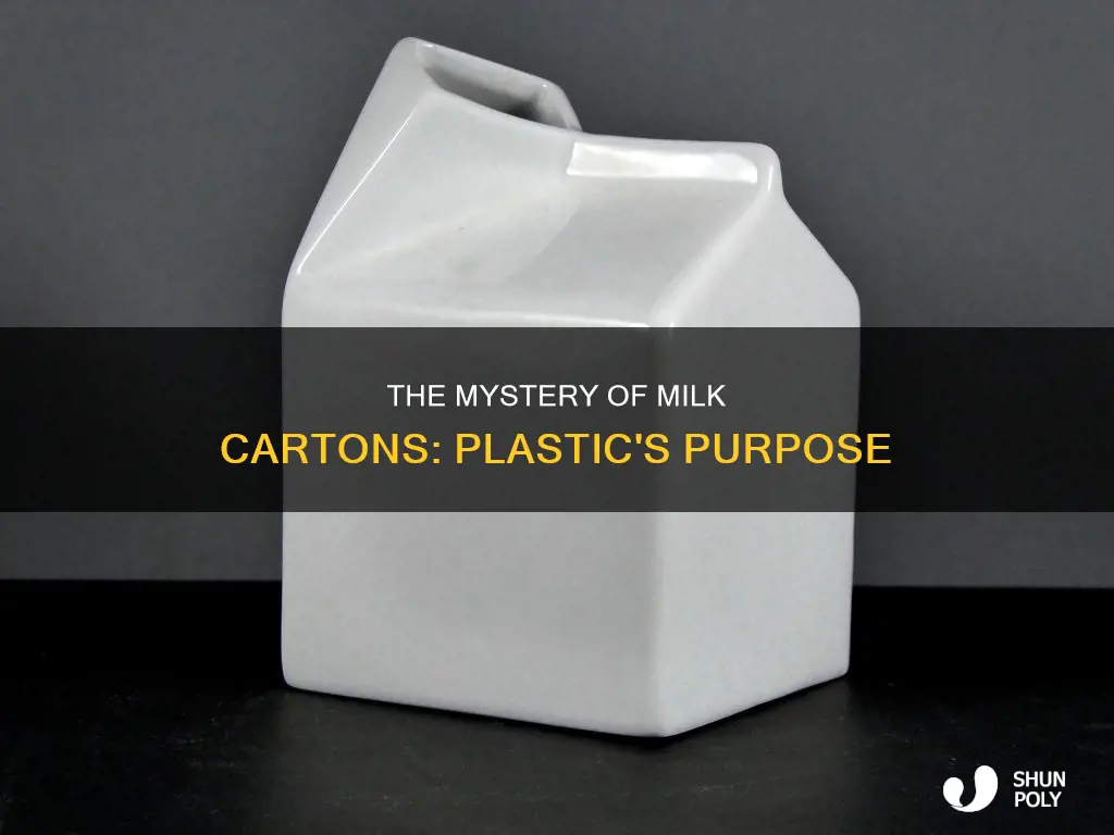 why do milk cartons contain plastic