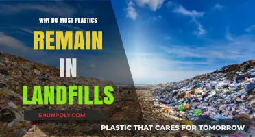 Plastics: Landfills' Forever Residents?