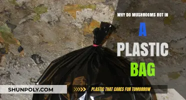 Why Mushrooms Spoil Quickly in Plastic Bags: Causes and Solutions