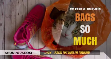 Why Cats Love Plastic Bags: Unraveling the Feline Fascination