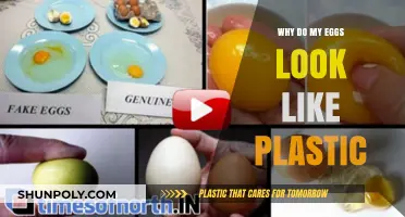 The Mystery of Plastic-Like Eggs: What's the Reason?