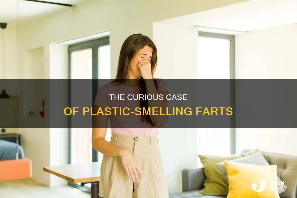 why do my farts smell like plastic