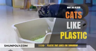 Plastic Attraction: Why Senior Cats Love Plastic