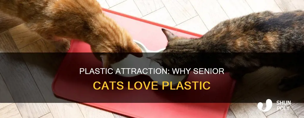why do older cats like plastic