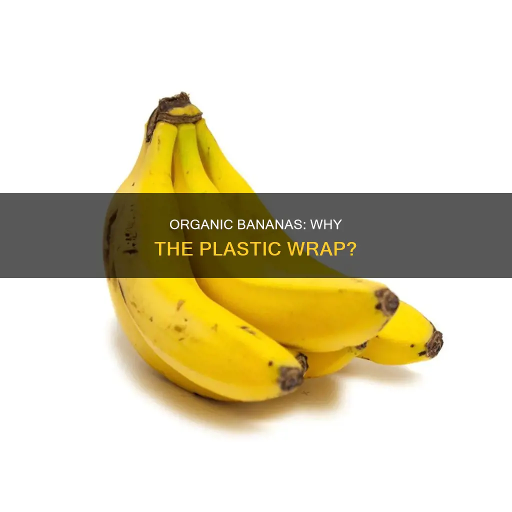 why do organic bananas have plastic