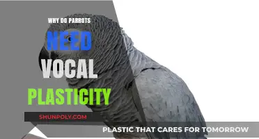 Parrots' Vocal Plasticity: A Key to Their Success
