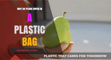 How Plastic Bags Accelerate Pear Ripening: The Science Explained