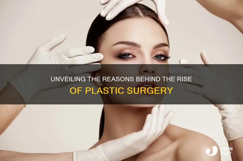 why do people do plastic surgery