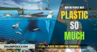 The War on Plastic: Why Do People Hate It?