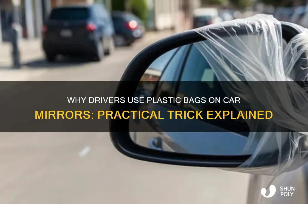 why do people put plastic bags on car mirrors