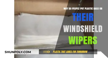 Plastic Bags on Windshield Wipers: A Simple Winter Hack Explained