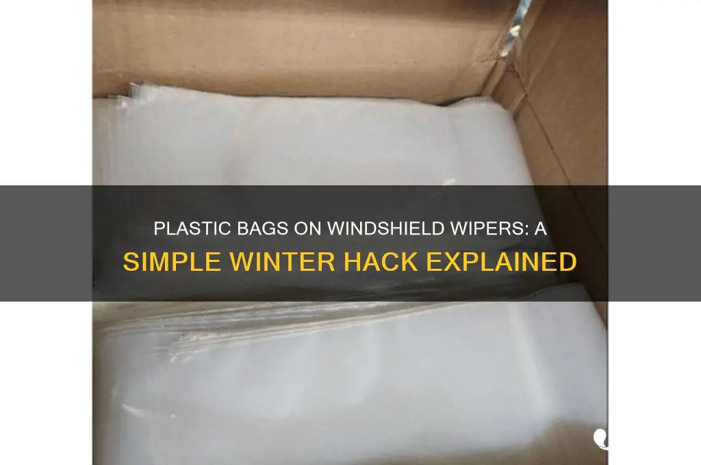 why do people put plastic bags on their windshield wipers