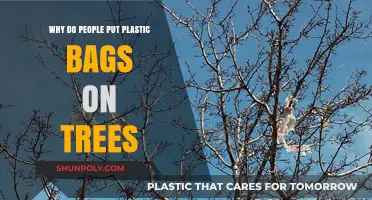 Why Do People Put Plastic Bags on Trees? Unveiling the Mystery