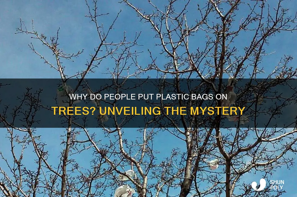 why do people put plastic bags on trees