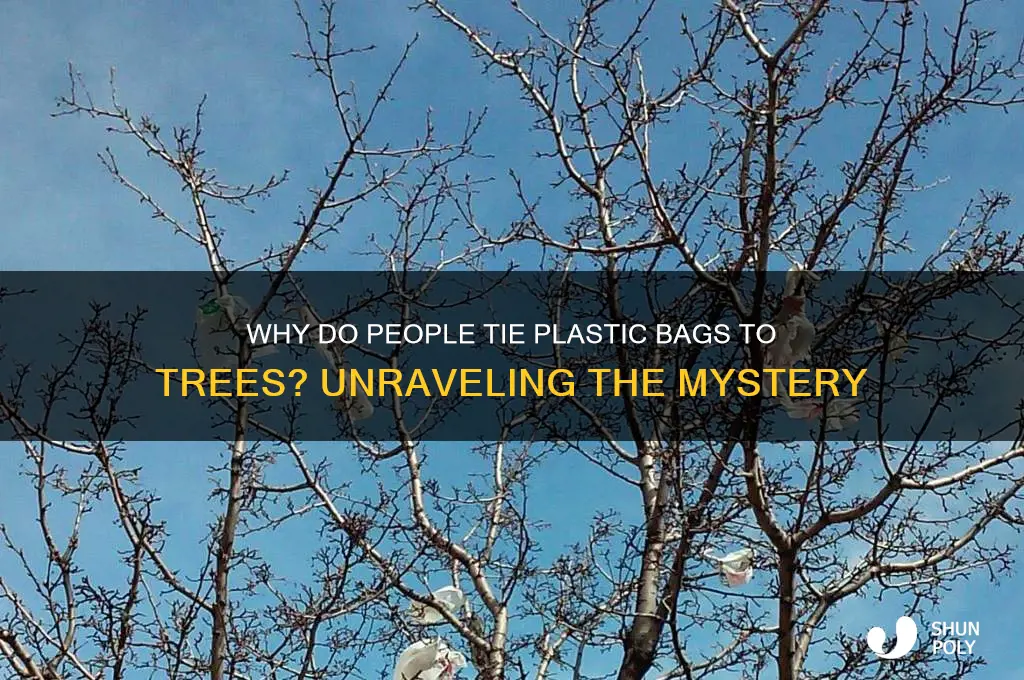 why do people tie plastic bags to treea