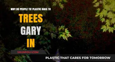 Why Gary, IN Residents Tie Plastic Bags to Trees: Unveiling the Mystery