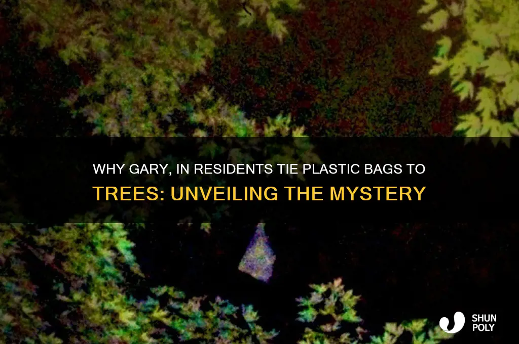 why do people tie plastic bags to trees gary in