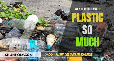 Plastic Waste: Why People Pollute and How to Stop It