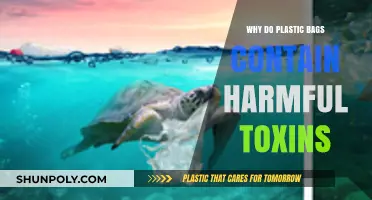 Hidden Dangers: How Plastic Bags Release Harmful Toxins into Our Lives