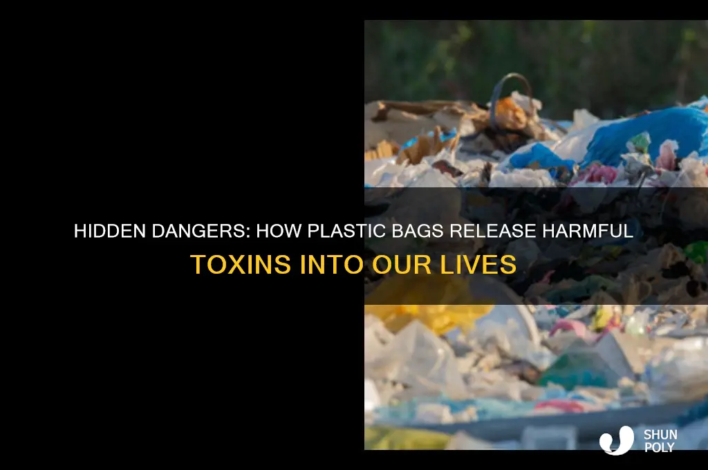 why do plastic bags contain harmful toxins