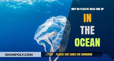 How Everyday Plastic Bags Pollute Our Oceans: Causes and Solutions