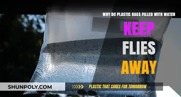 Plastic Bags with Water: A Simple Fly Repellent Trick Explained